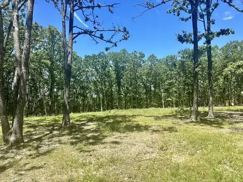 000 Eagle Ridge Rd #LOT 7, Protem, MO 65733 photo 4