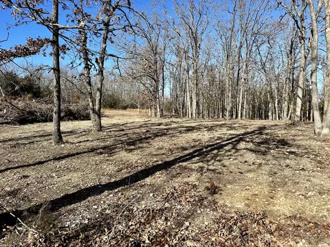 000 Eagle Ridge Rd #LOT 7, Protem, MO 65733 photo 10