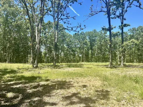 000 Eagle Ridge Rd #LOT 7, Protem, MO 65733 photo 3