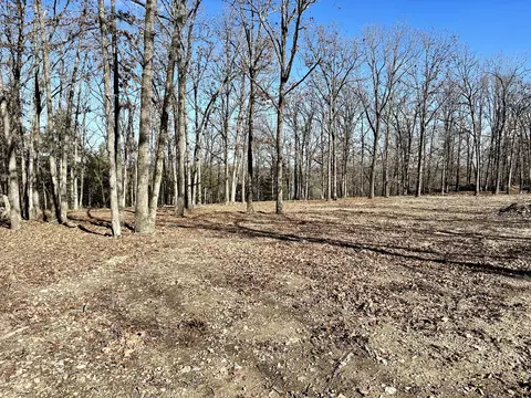 000 Eagle Ridge Rd #LOT 7, Protem, MO 65733 photo 9