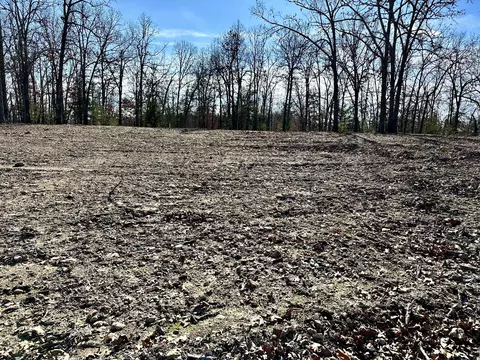 000 Eagle Ridge Rd #LOT 7, Protem, MO 65733 photo 16
