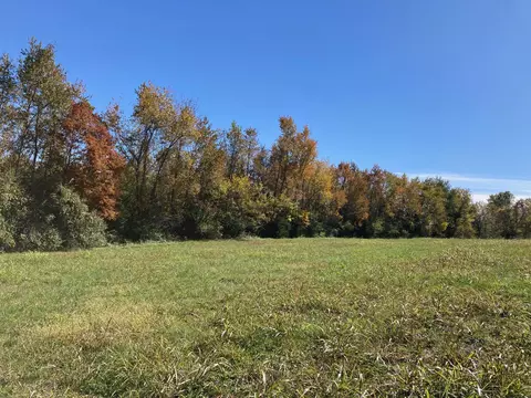 3 Combs Road, Nixa, MO 65714 photo 3
