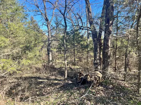 Lot 30-32 Block C, Shell Knob, MO 65747 photo 4