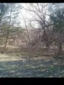 174 E 508th Rd, Aldrich, MO 65601 photo 4