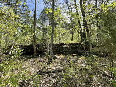 12669 State Highway 125, Chadwick, MO 65629 photo 48
