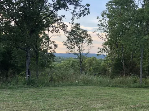 12669 State Highway 125, Chadwick, MO 65629 photo 38
