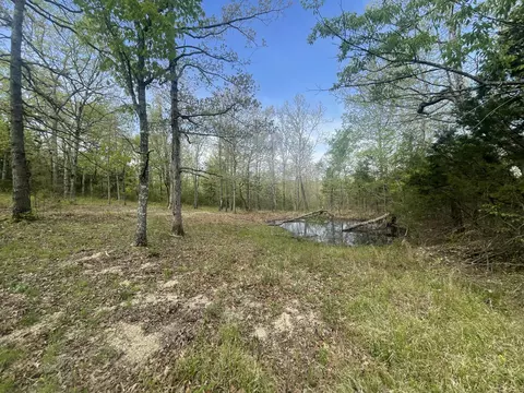 12669 State Highway 125, Chadwick, MO 65629 photo 46