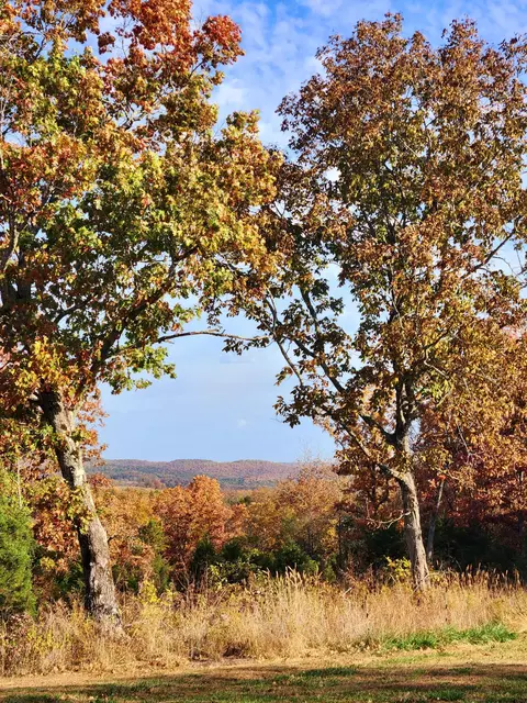 12669 State Highway 125, Chadwick, MO 65629 photo 36