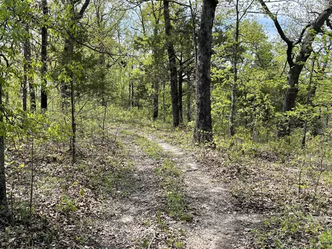 12669 State Highway 125, Chadwick, MO 65629 photo 41