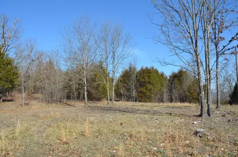 12669 State Highway 125, Chadwick, MO 65629 photo 37