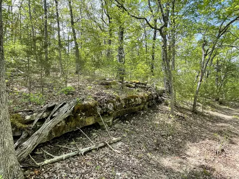 12669 State Highway 125, Chadwick, MO 65629 photo 47