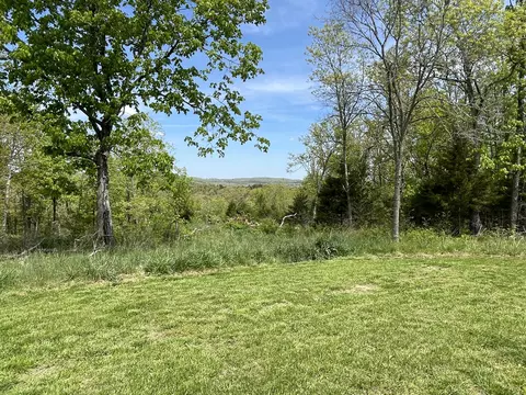 12669 State Highway 125, Chadwick, MO 65629 photo 26