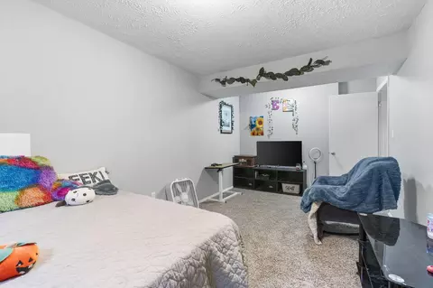 1314 E Carleton St, Springfield, MO 65804 photo 31
