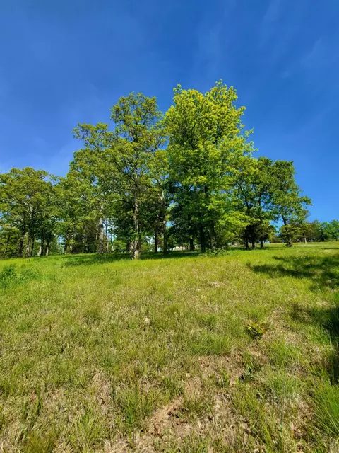 20-21 22 Cedar Falls Rd, Shell Knob, MO 65747 photo 2