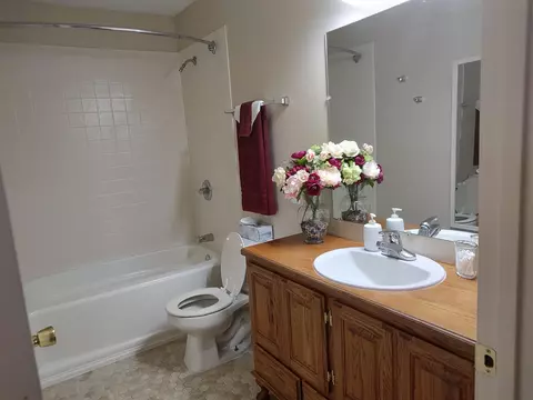 203 Jeb St, Willard, MO 65781 photo 9