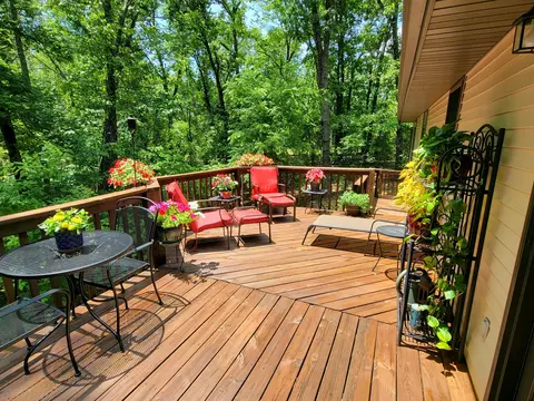 119 Basil Dr, Ozark, MO 65721 photo 54