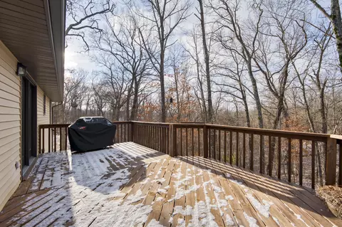 119 Basil Dr, Ozark, MO 65721 photo 38