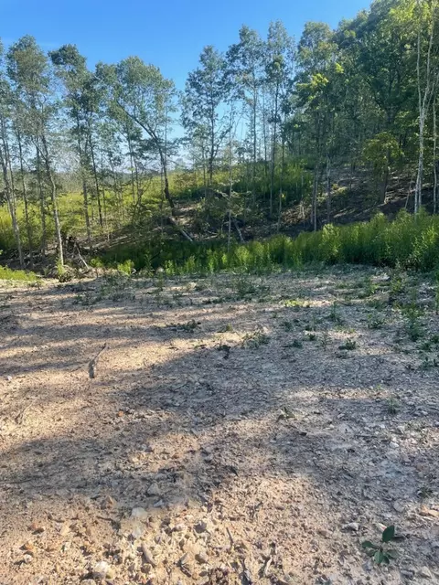 00 Private Rd 3424, Mountain View, MO 65548 photo 5
