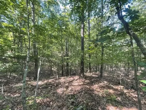 00 Private Rd 3424, Mountain View, MO 65548 photo 4