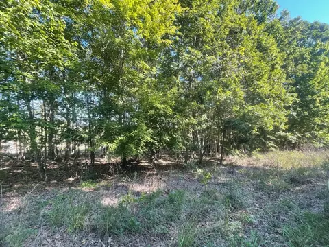 00 Private Rd 3424, Mountain View, MO 65548 photo 7