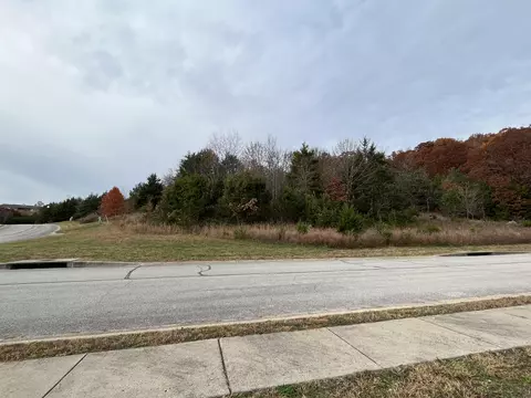 141 Pebble Beach Dr, Branson, MO 65616 photo 3