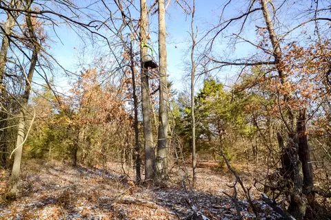 000 E Panama Rd, Nevada, MO 64772 photo 15
