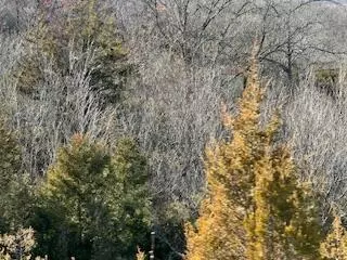 000000 Ozark Scenic, Branson, MO 65616 photo 3