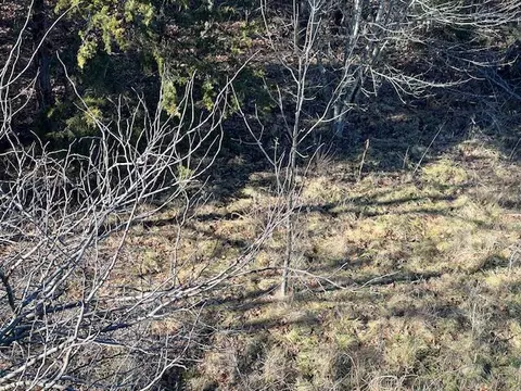 000000 Ozark Scenic, Branson, MO 65616 photo 8