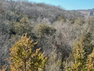 000000 Ozark Scenic, Branson, MO 65616 photo 4