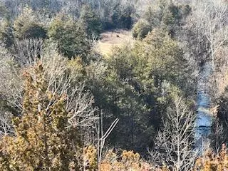 000000 Ozark Scenic, Branson, MO 65616 photo 6