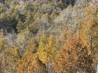 000000 Ozark Scenic, Branson, MO 65616 photo 7