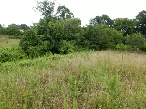 186 Stormy Dr, Spokane, MO 65754 photo 3