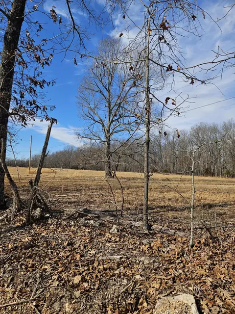 000 Cr 513, Gainesville, MO 65655 photo 2