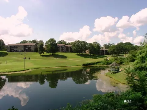 41 Scenic Ct #30, Branson, MO 65616 photo 23
