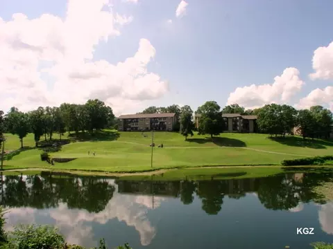 41 Scenic Ct #30, Branson, MO 65616 photo 22