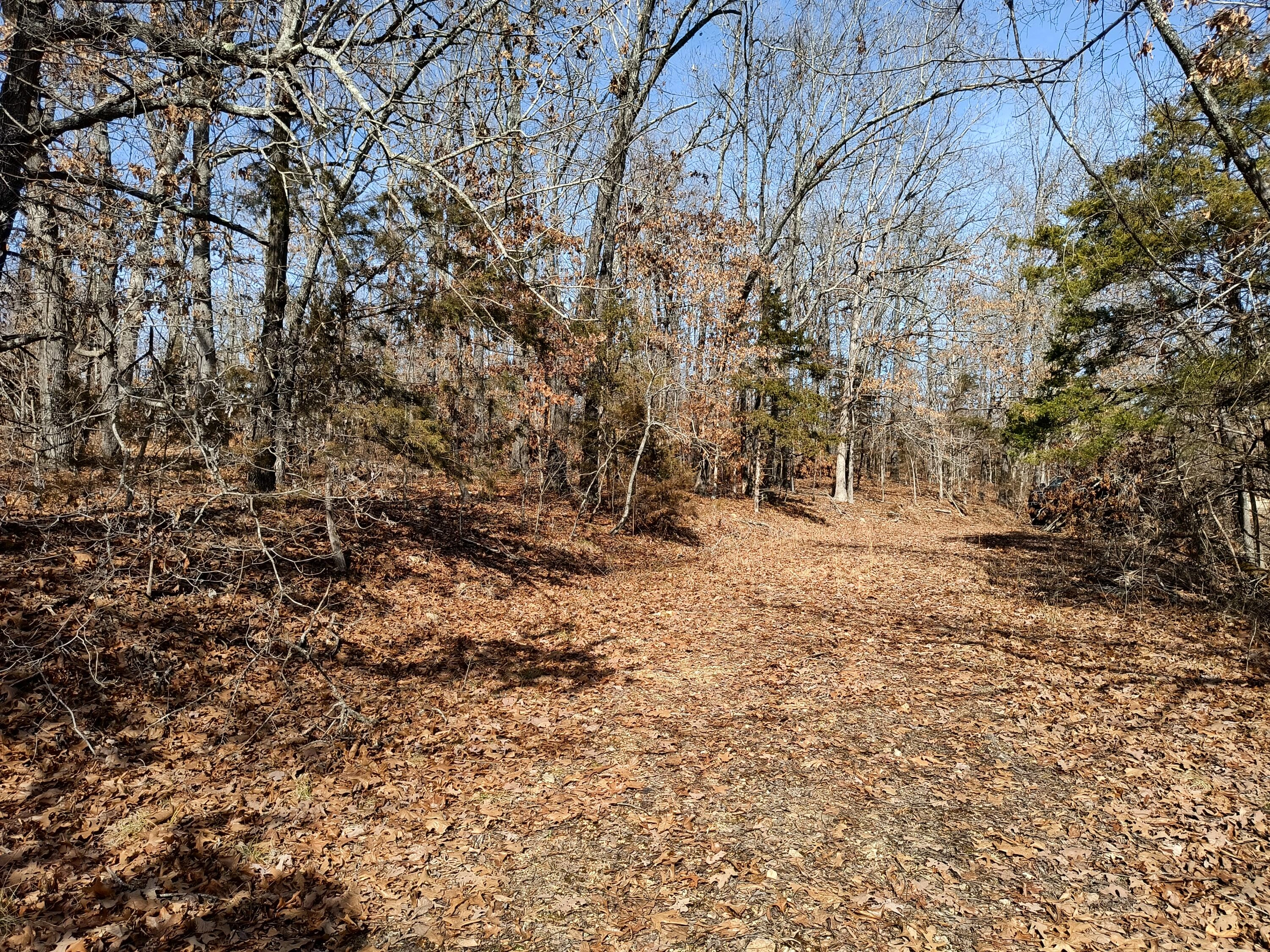 000 Catalpa Drive Lakeshore Hls  