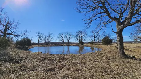 13162 State Highway B, Ava, MO 65608 photo 95