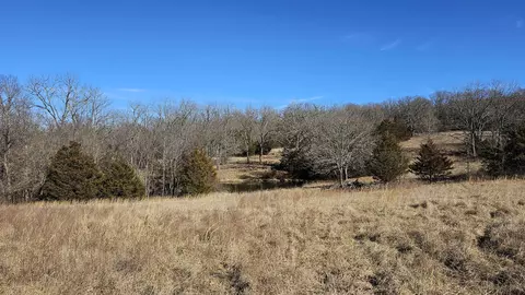 13162 State Highway B, Ava, MO 65608 photo 93