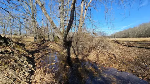 13162 State Highway B, Ava, MO 65608 photo 5