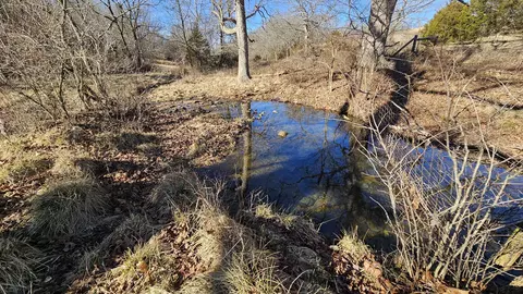 13162 State Highway B, Ava, MO 65608 photo 85