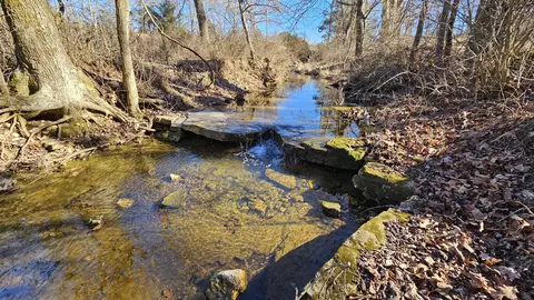 13162 State Highway B, Ava, MO 65608 photo 67