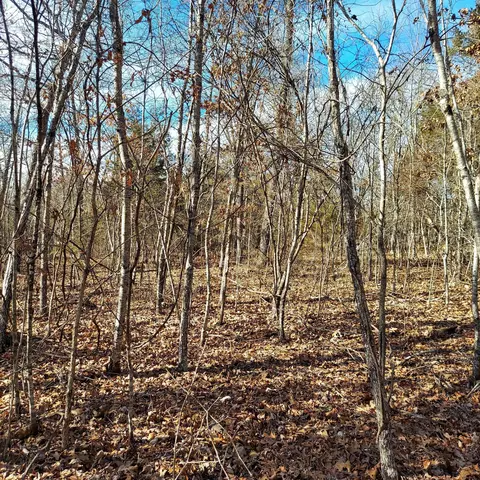 000 Ac Hwy, Dora, MO 65637 photo 6