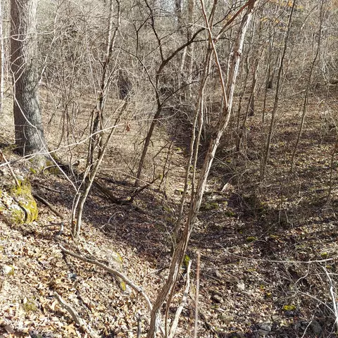 000 Ac Hwy, Dora, MO 65637 photo 15