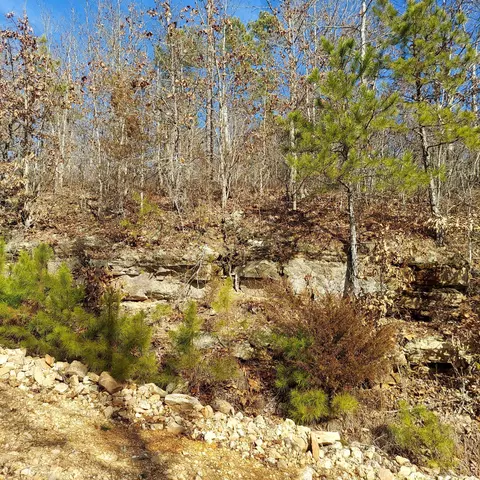 000 Ac Hwy, Dora, MO 65637 photo 21