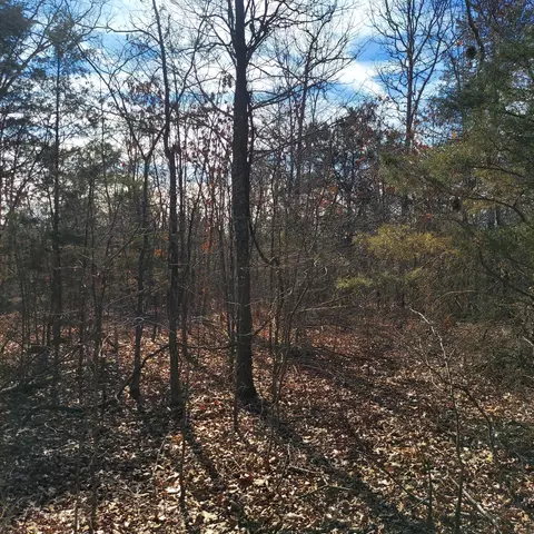 000 Ac Hwy, Dora, MO 65637 photo 8