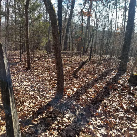 000 Ac Hwy, Dora, MO 65637 photo 10