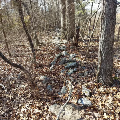 000 Ac Hwy, Dora, MO 65637 photo 7