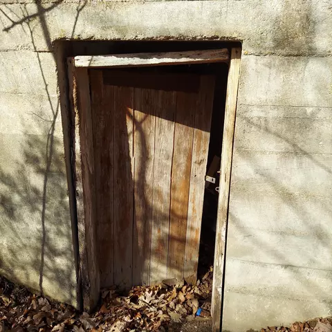 000 Ac Hwy, Dora, MO 65637 photo 4