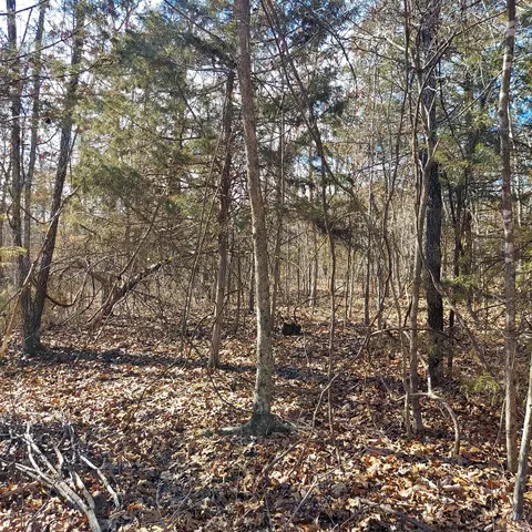 000 Ac Hwy, Dora, MO 65637 photo 11