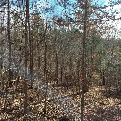 000 Ac Hwy, Dora, MO 65637 photo 13